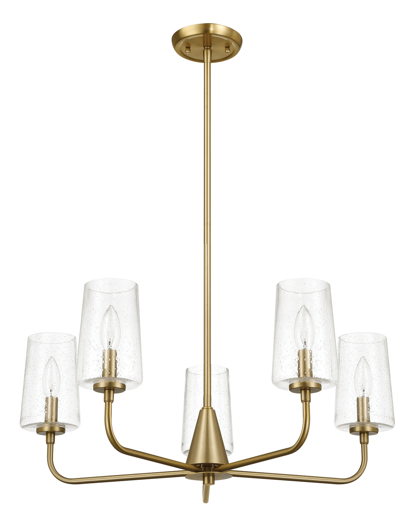 Dazzle Five Lights Chandelier With Clear Seeded Glass -Satin Brass.